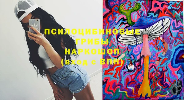 не бодяженный Пионерский
