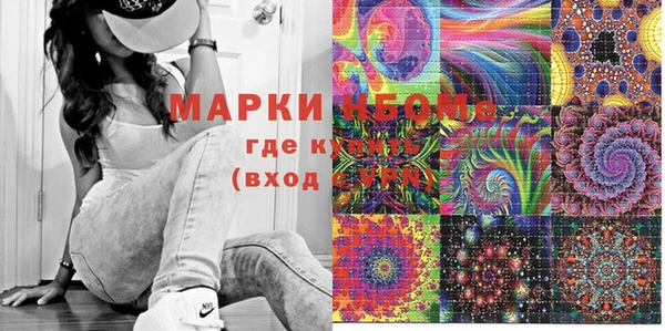 мдпв Печоры