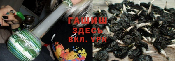 шишки Николаевск-на-Амуре