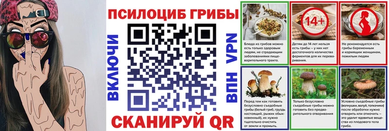 Псилоцибиновые грибы Cubensis  где найти   Тюкалинск 